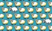 如何培养良好的睡眠。