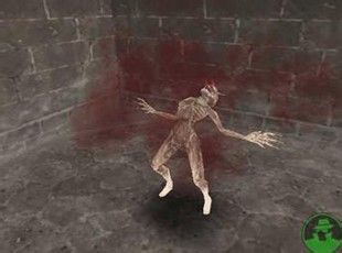 吸血鬼惊魂游戏流程简介