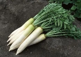 豆腐用来治疗疾病的食疗偏方
