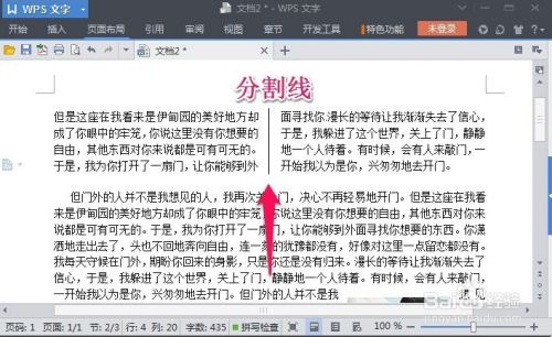 WPS文字怎么进行分栏