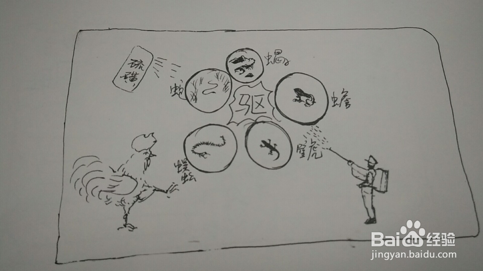 端午节驱五毒手抄报