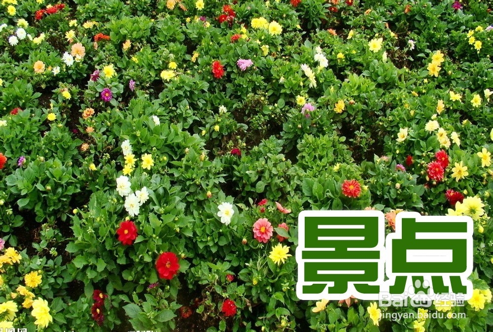 上海游乐场怎么玩