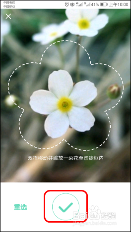 使用识花APP【形色】识别各种植物、花草、果蔬