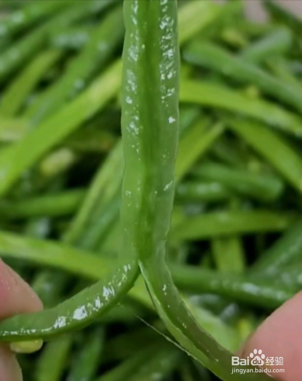 凉拌豆角的做法