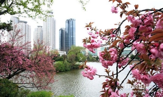 韩国十大美丽大学