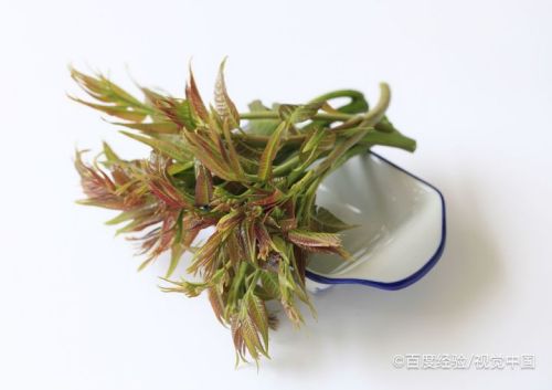 吃香椿有哪些好处