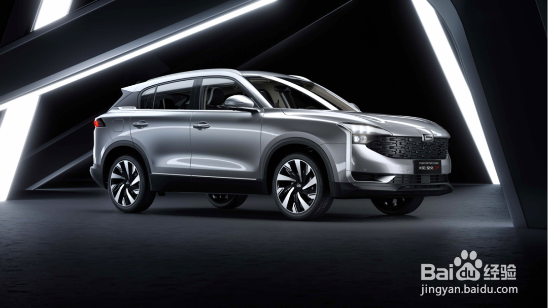 曾经是“自主品牌希望”，如今却靠共享存活