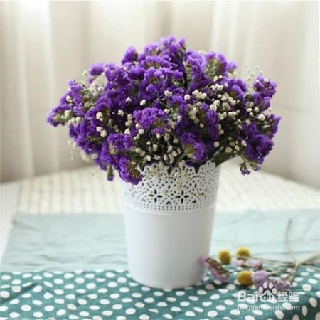 勿忘我怎么养成干花