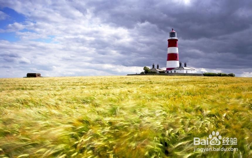 怎样提高自己的写作水平