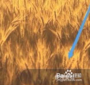 小米设置的背景图如何换