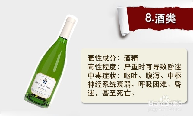 狗狗不能吃的15种食物