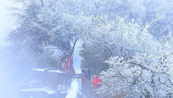 婷婷白桦，幽幽长空，北国风光已来临是什么意思