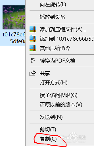 怎样正确的在文档中插入图片?