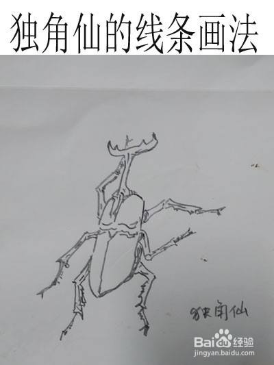 独角仙的线条画法 百度经验 独角仙的线条画法 百度经验
