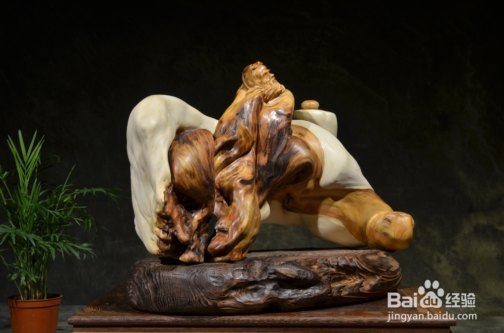 倦勤絮语3：崖柏的冰火两重天