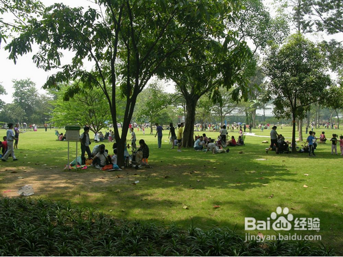 五一短距游如何玩转济南？