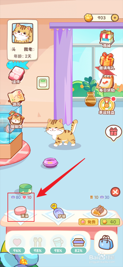 桌面喵app如何给小猫洗澡