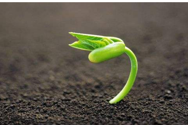 关于生命的名言警句