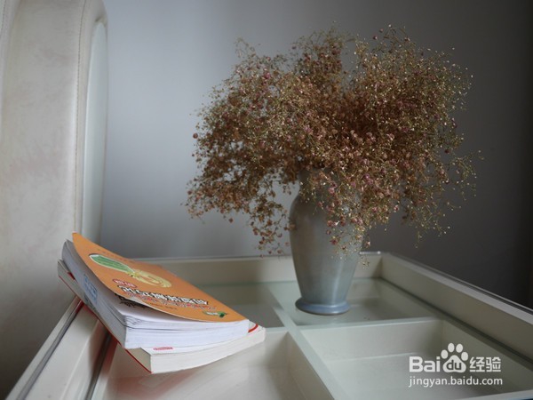 吉普赛满天星怎么种 花园新娘种植时应注意什么