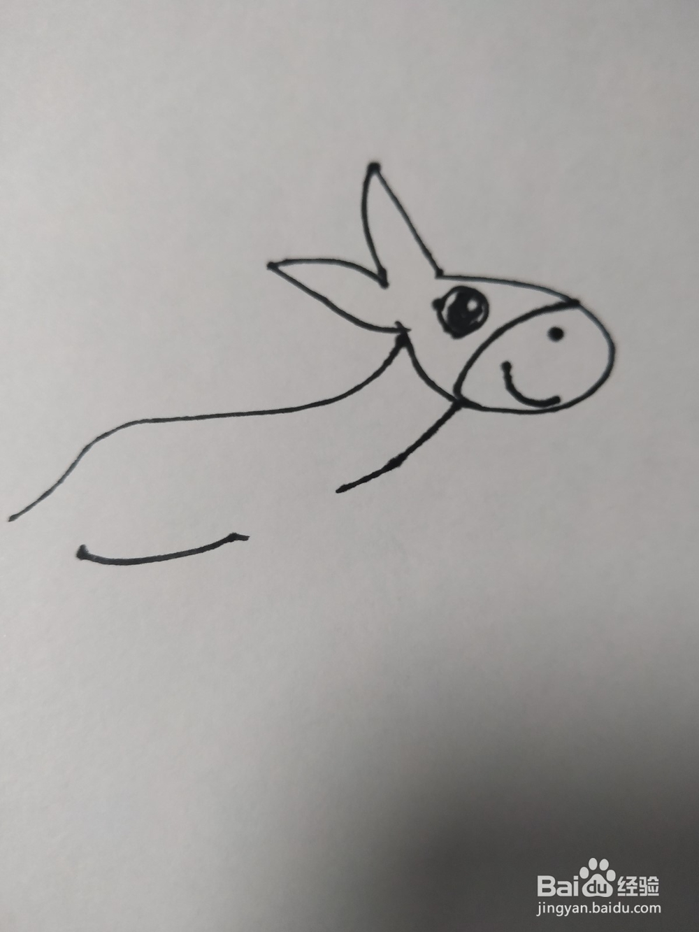 毛驴的简笔画技法5