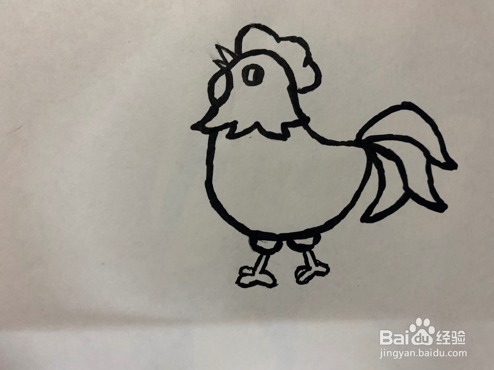 怎么画一只大公鸡
