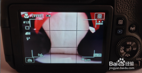 佳能77D如何找到白平衡调节功能？