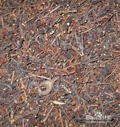 勾藤有什么作用