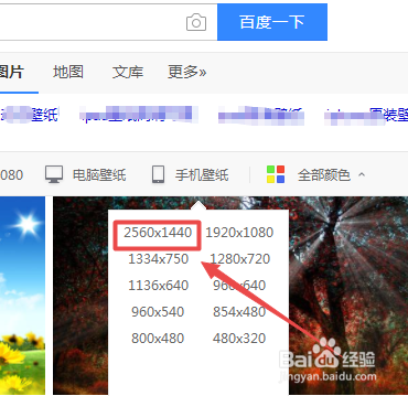2K手机壁纸下载技巧