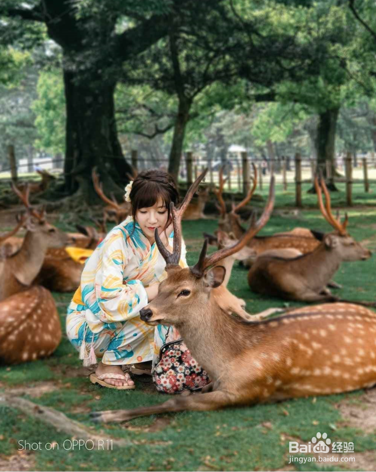 vivox20和oppor11哪个好最新评测