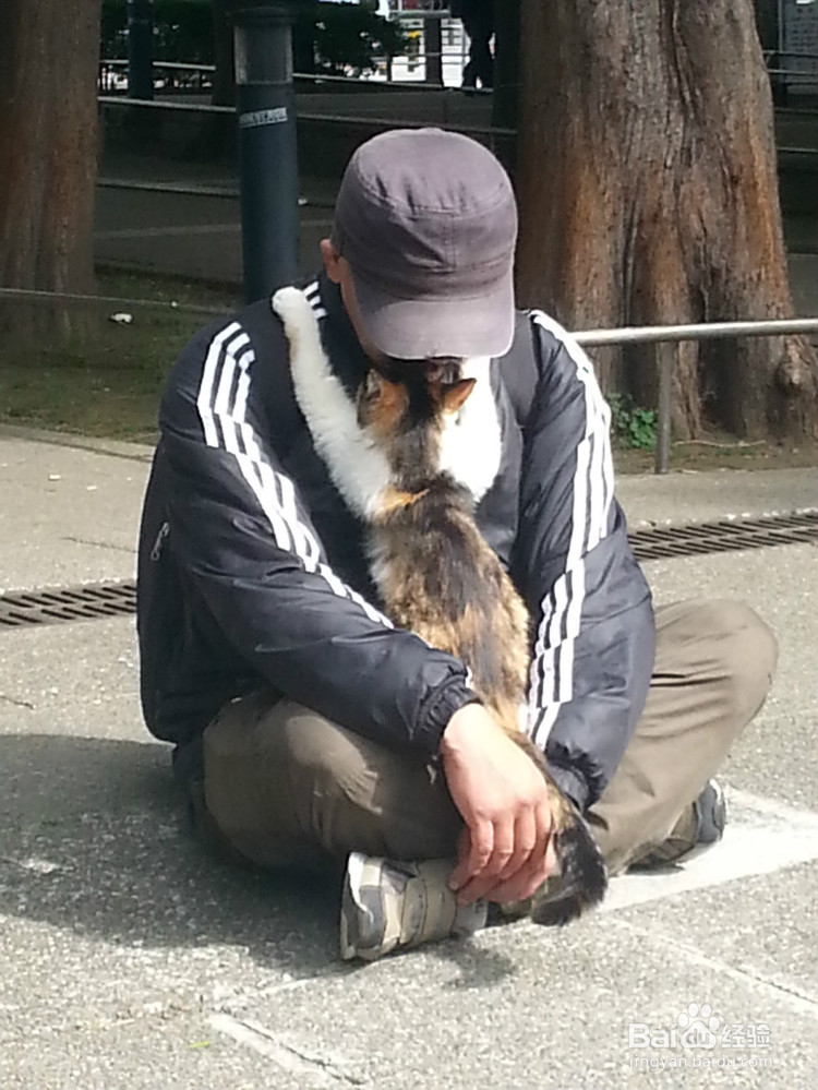 女不养狗,男不养猫是什么意思