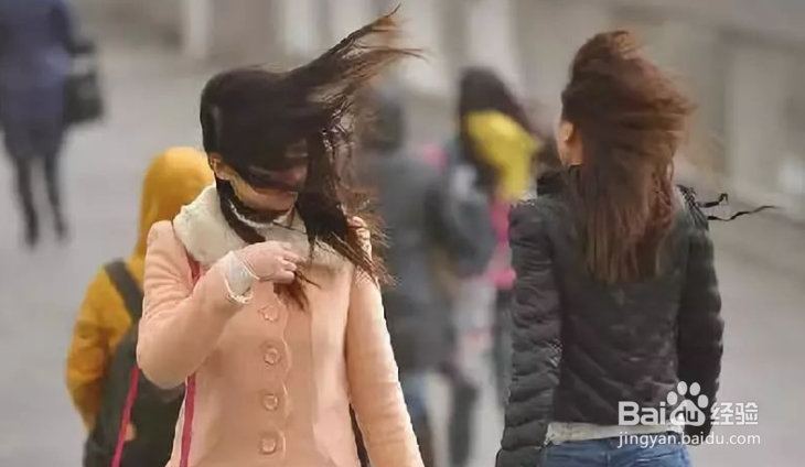 大风怎么形容