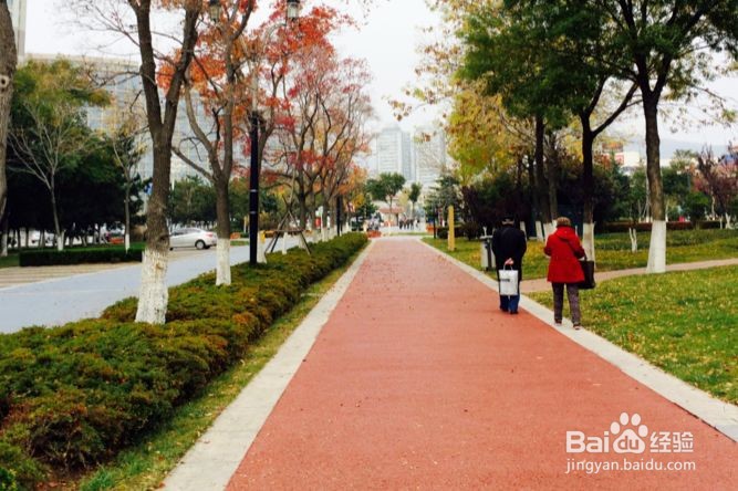 创建国家卫生县城该怎么办