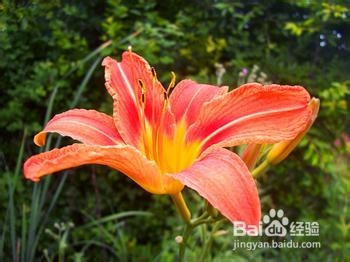 治冻疮，冻疮治疗