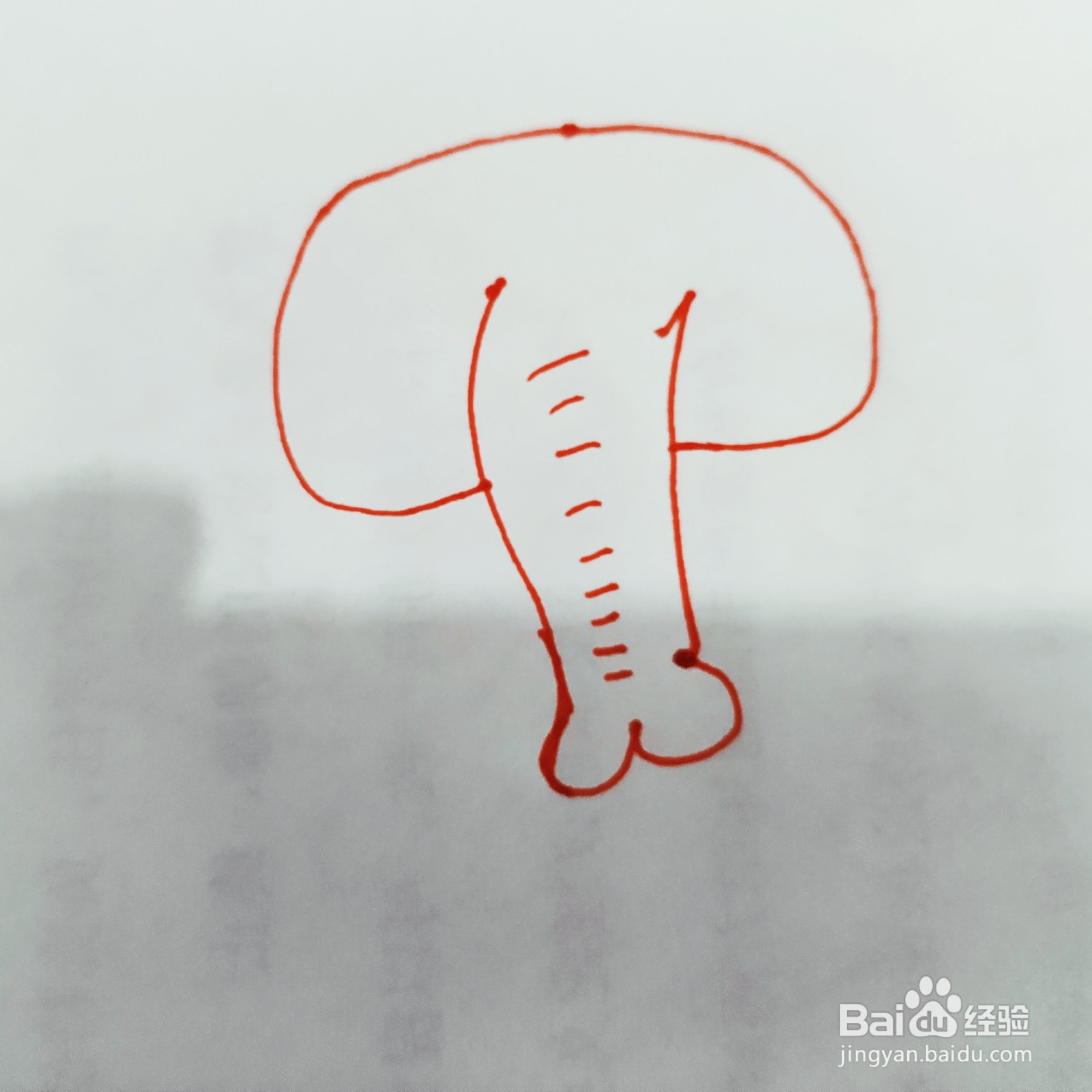 怎么来教给孩子画一只长鼻子大象呢?