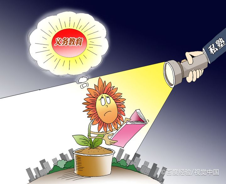 教育规划的作用