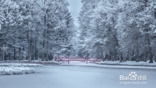 墩台与基础设计的简单了解