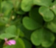 如何对孩子进行安全教育K