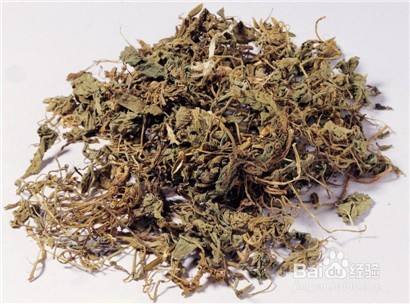 如何驱蚊——纯天然中草药驱蚊配方