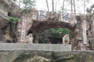 流溪河国家森林公园自助游攻略