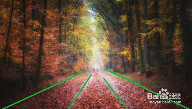 用手机摄影的时候应该如何构图？