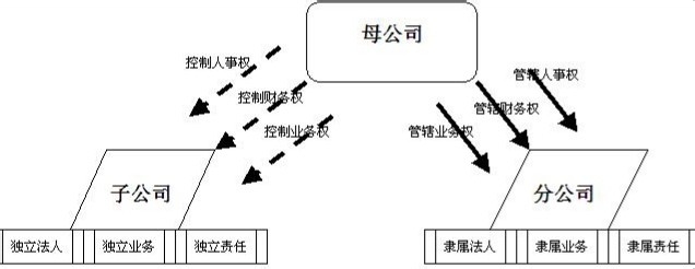 子公司和分公司的区别