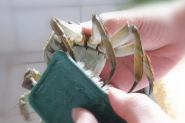 如何才能把清蒸大闸蟹做得好吃一些