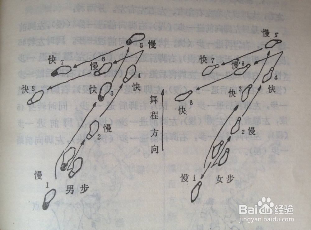 儿童探戈舞步图片