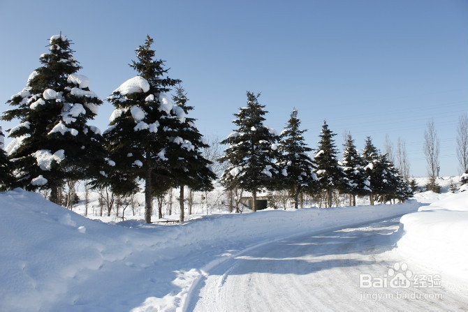 【日本】浪漫冬日 北海道の旅途（四）