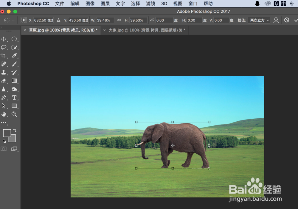 photoshop操控变形、合成及加阴影