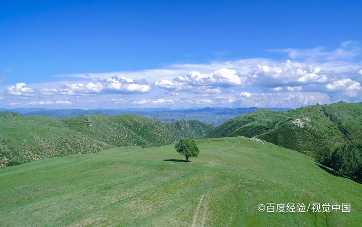 心理压力太大要崩溃了如何解决