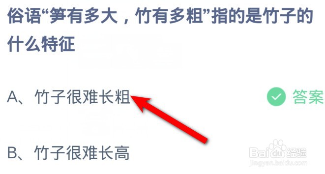俗语笋有多大竹有多粗指的是竹子的什么特征