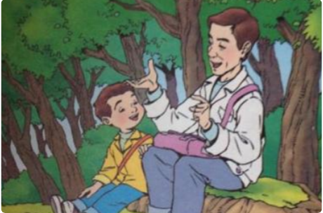 父亲树林和鸟通过我和父亲关于鸟的怎么写