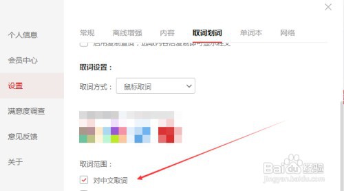 有道词典对中文自动取词翻译如何设置
