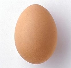 在家制作蛋卷